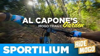 Al Capone's Garden: Tech & Flow Blue Trail...