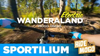 Alice in Wanderaland E-MTB: Uphill Power, Zero...