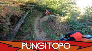 MTB 4 Venti 11.10.2025 sentiero PUNGITOPO