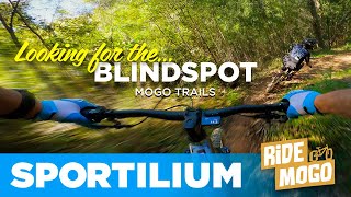 THE BLINDSPOT: Black Diamond Tech & Jumps...