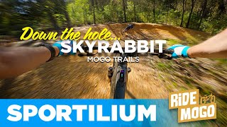BLACK JUMP LINE on an E-MTB! Hitting Skyrabbit...