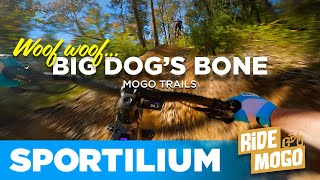 Big Dog's Bone: Flow and Jumps on Mogo's Best...