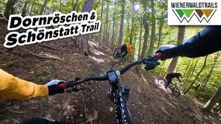 Wiener Klassik(er) - Dornröschen Trail &...