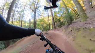 Tamarancho: Endor trail (October 2025)