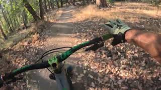 Super FAST EASY TRAIL That ANYBODY Can Ride!...
