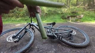 fooling around japanese knotweed
