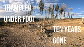 You Should Come Check Out These New Trails -...