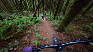 Fall biking in the PNW has returned!