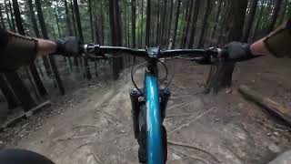 Dzika, Bike Park Kasina, 2025 | enduro trail