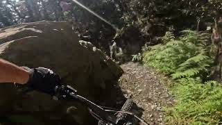 Te Ara Paparoa P2