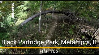 Black Partridge Park MTB trail - '7Up'