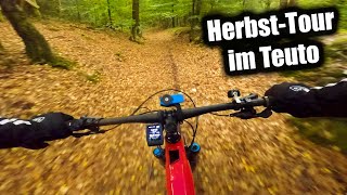 Virtual Bike Ride #2 - Teutoburg Forest...