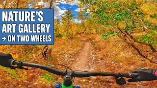 The Most Beautiful MTB Trail I’ve Ever...