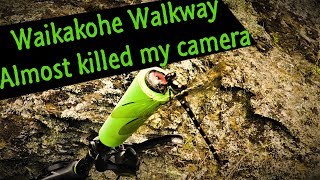 Waikakahoe Walkway