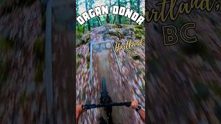 Organ Donor - Hartland, BC - MTB Trail Preview...