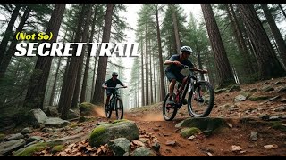 Secret Trail | Crowsnest Pass, AB