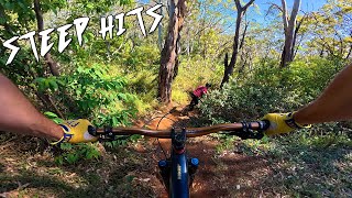 Back on the forest trails!