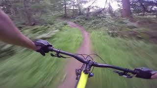 Guisborough Woods Mountain Biking | June 2018