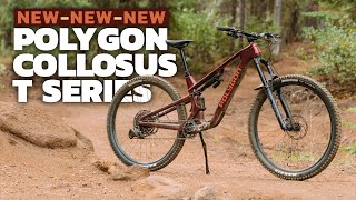 Affordable Carbon MTB - Polygon Collosus T...