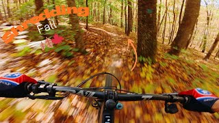 SHREDDING FALL LEAVES!  | October MTB POV