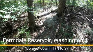 Farmdale Reservoir MTB trail - 'Borneo'...