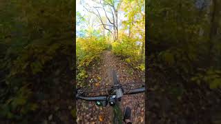 Flow Trail Foliage Vibes – Summit Bypass @...
