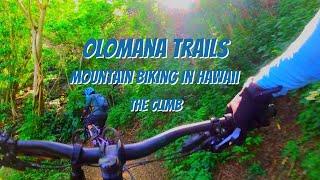 The Climb