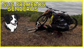 Somos DOGFRIENDLY ​ Primeros senderos |...