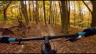 Mountain Biking at Hickory Ridge (Naples, New...