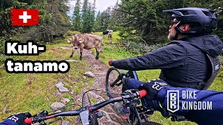 Parpan One Way - Bike Kingdom Lenzerheide