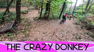 The Crazy Donkey - Vorno 1/11/‘25