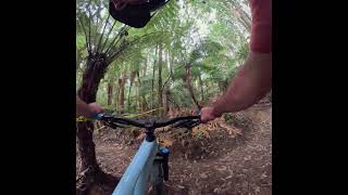 What’s your favourite exit trail? Fluffy...