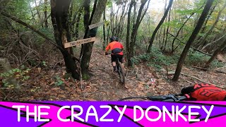 MTB Monti Pisani Vorno Trail Area 01.11.2025...