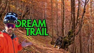 CAI 223 FORNI DI SOPRA MTB