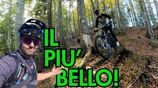 IL TRAIL più BELLO DEL FRIULI?! ARLECCHINO...