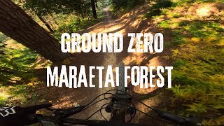 Ground Zero at Maraetai Forest