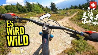 BIKEPARK BELLWALD Into The Wild  + bissl...