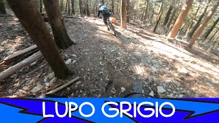 MTB Monte Morello 08.11.2025 sentiero LUPO...