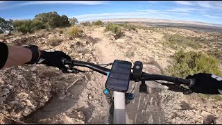 Snake Skin - Third Flats - Grand Junction -...