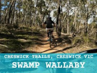 Creswick Trails - Swamp Wallaby #L2