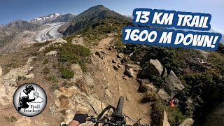 Aletsch Arena - Moosfluh Enduro Trail