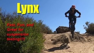 Aliso Woods Mountain Biking Lynx 2025