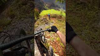 Follow the best Trails. #mountains #mtb