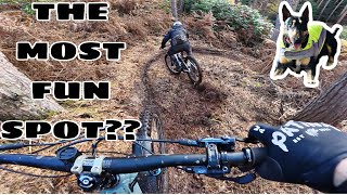 THESE MAY BE MY FAVOURITE TRAILS