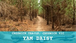 Creswick Trails - Yam Daisy #G7