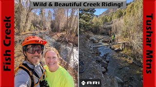 Lower Fish Creek is Lovely ... and Slighly...