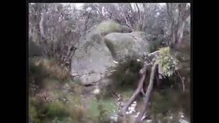 South Buffalo Bushwalk 5 November 2025