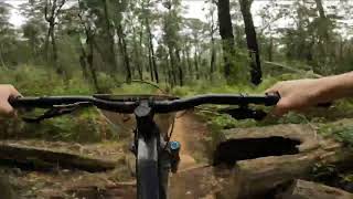 Silvan - Downhill Track