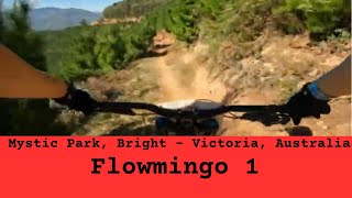 Mystic Park - Flowmingo 1st Half