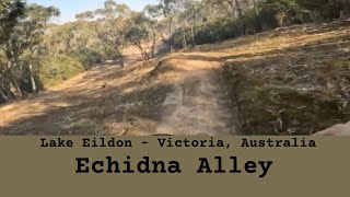 Lake Eildon - Echidna Alley
